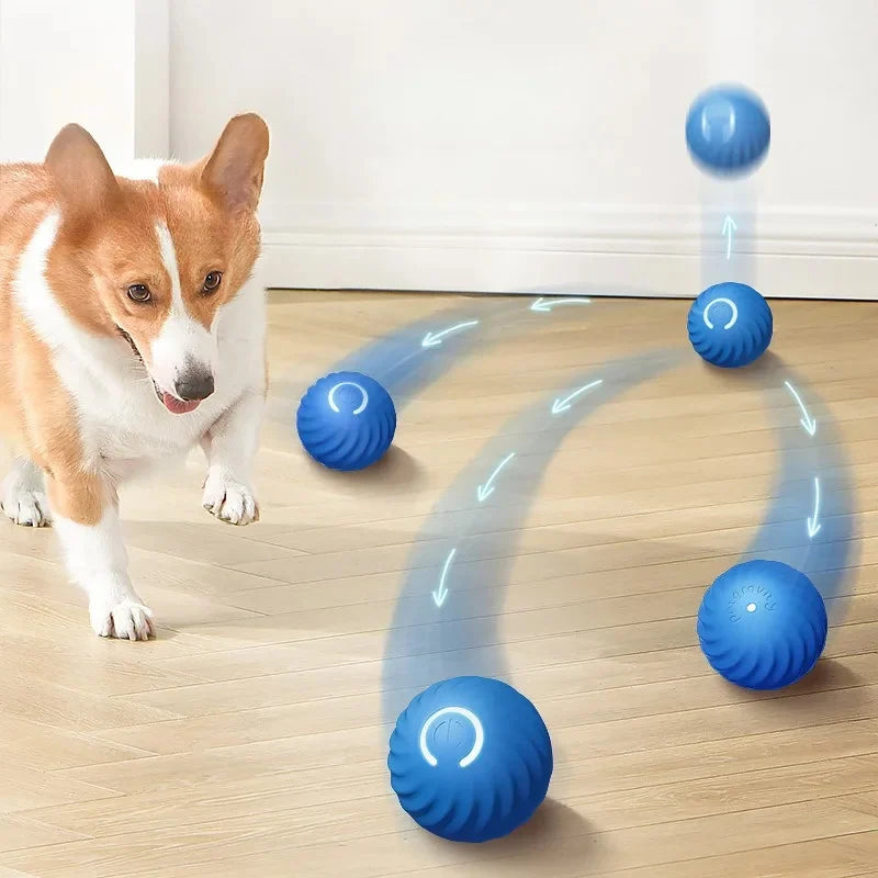 Interactive Motion Activated Rolling Ball Dog Toy | Chew & Meow