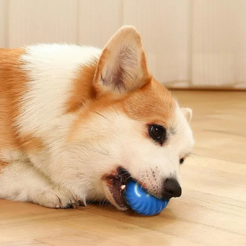 Interactive Motion Activated Rolling Ball Dog Toy | Chew & Meow